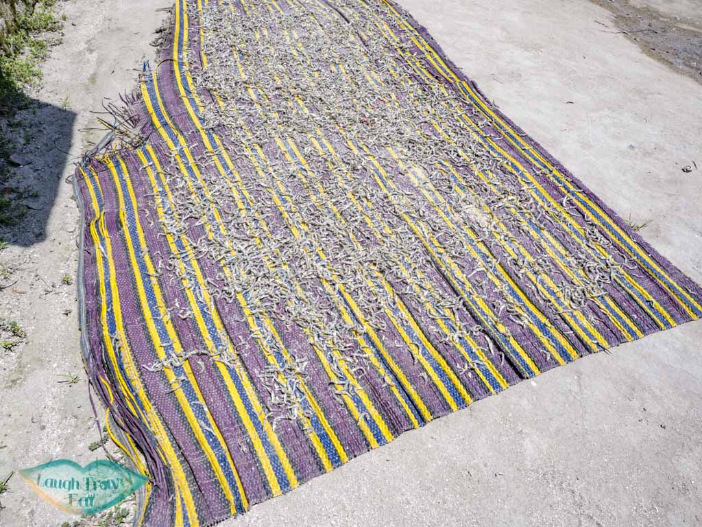 village life nungwi zanzibar tanzania - laugh travel eat-2