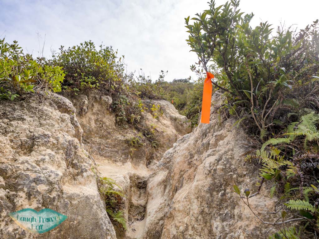 Mai Fan Teng to tai wan beach part 2 sai kung hong kong - laugh travel eat-5