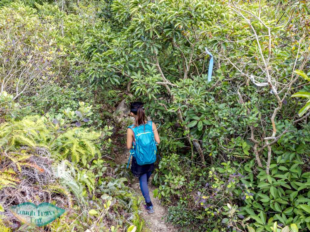 Mai Fan Teng to tai wan beach sai kung hong kong - laugh travel eat-6