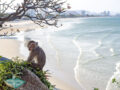 monkey at chopstick hill hua hin thailand - laugh travel eat