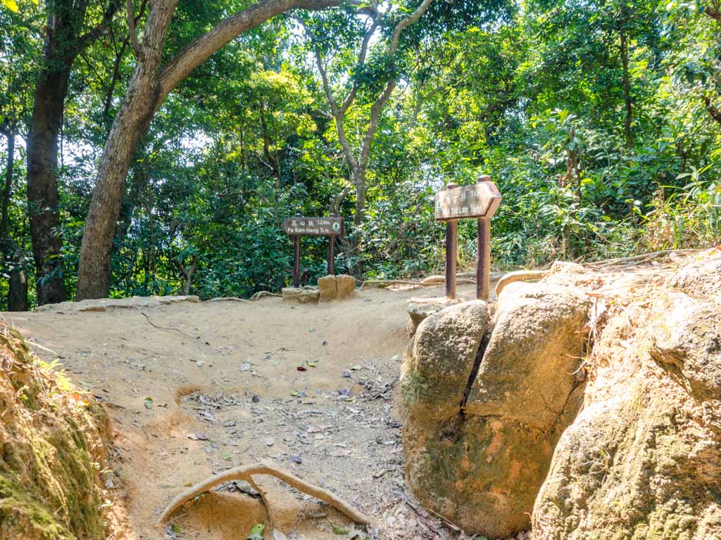 nui po au nui po shan shatin hong kong