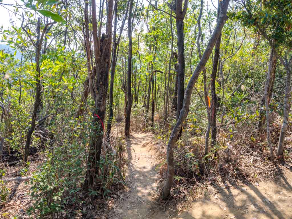 Penis Rock to Nui Po Shan Shatin Hong Kong