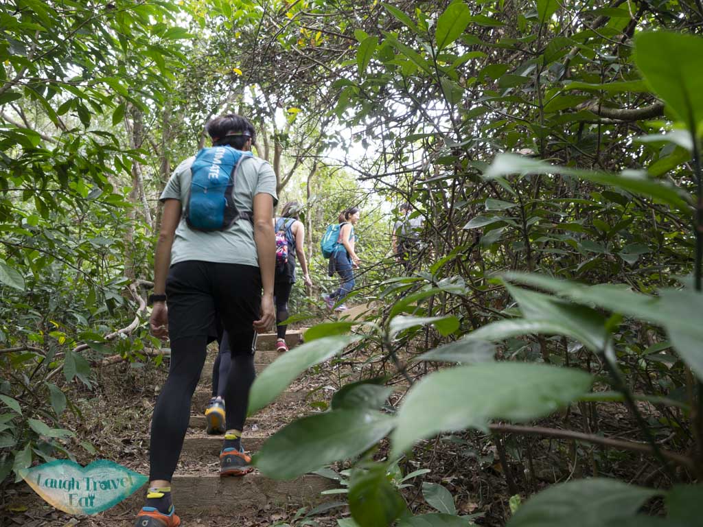 trail up to sharp peak sai kung hong kong - laugh travel eat