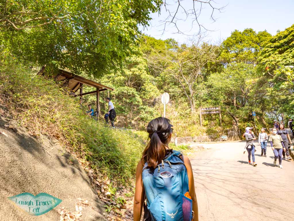 fei ngo shan road to middle hill hiking trail kowloon hong - laugh travel eat-2