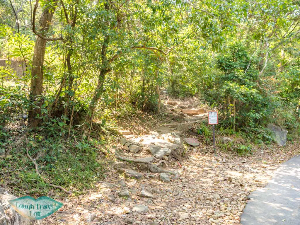 fei ngo shan road to middle hill hiking trail kowloon hong - laugh travel eat-3