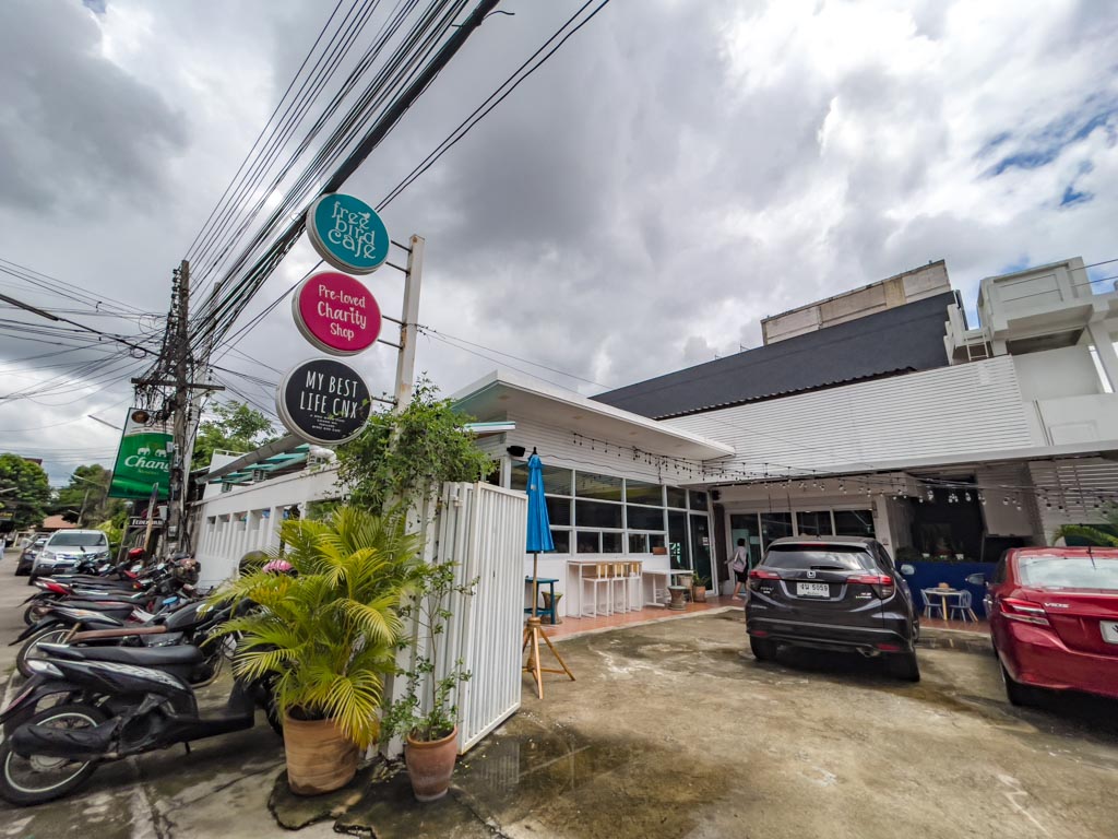 free bird cafe ninman chiang mai thailand - laugh travel eat