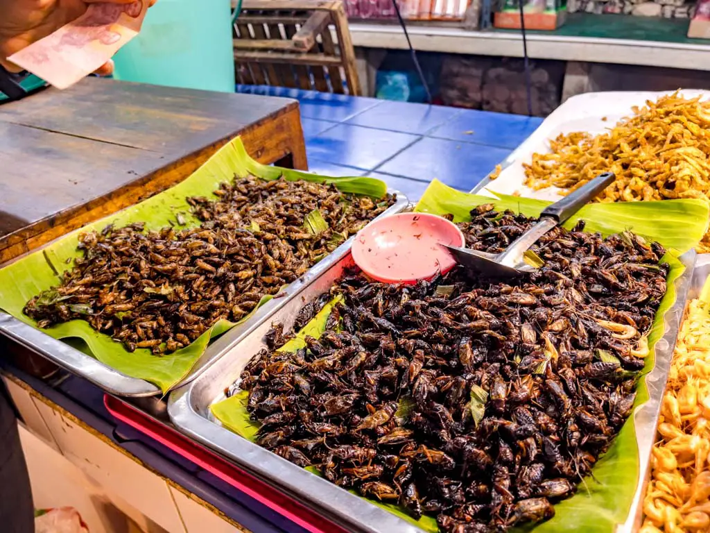 fried insects northern flavours a chefs tour chiang mai thailand - laugh travel eat