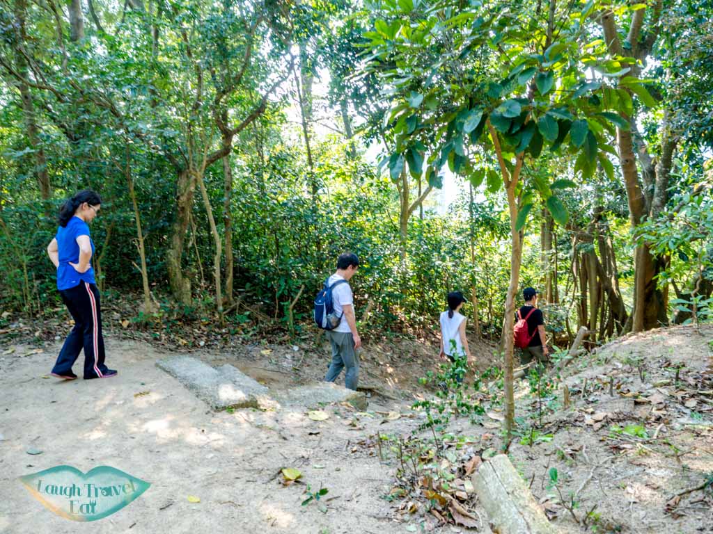 on shatin pass road down to tsz wan shan kowloon hong - laugh travel eat-2