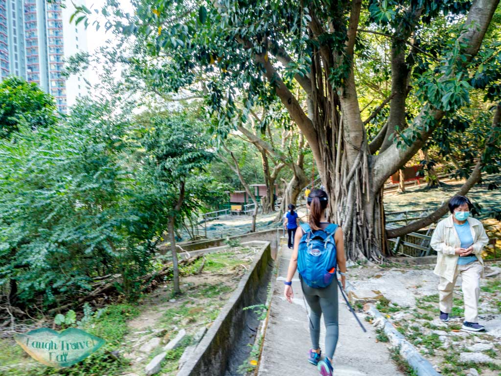 on shatin pass road down to tsz wan shan kowloon hong - laugh travel eat-4