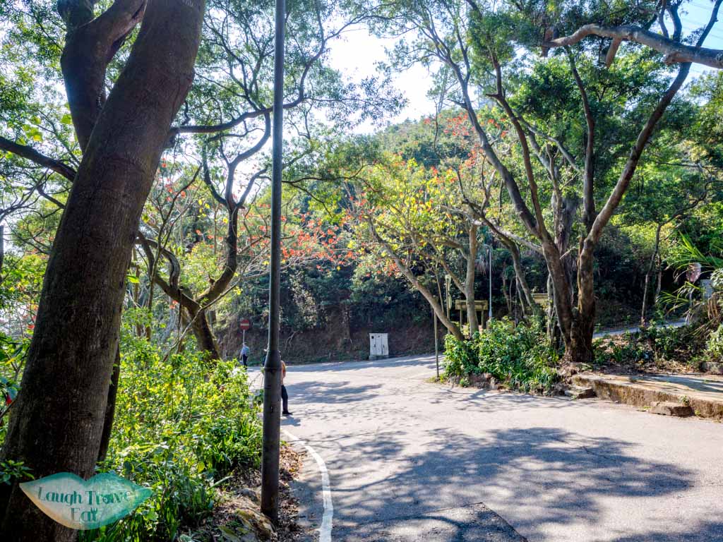 on shatin pass road kowloon hong - laugh travel eat