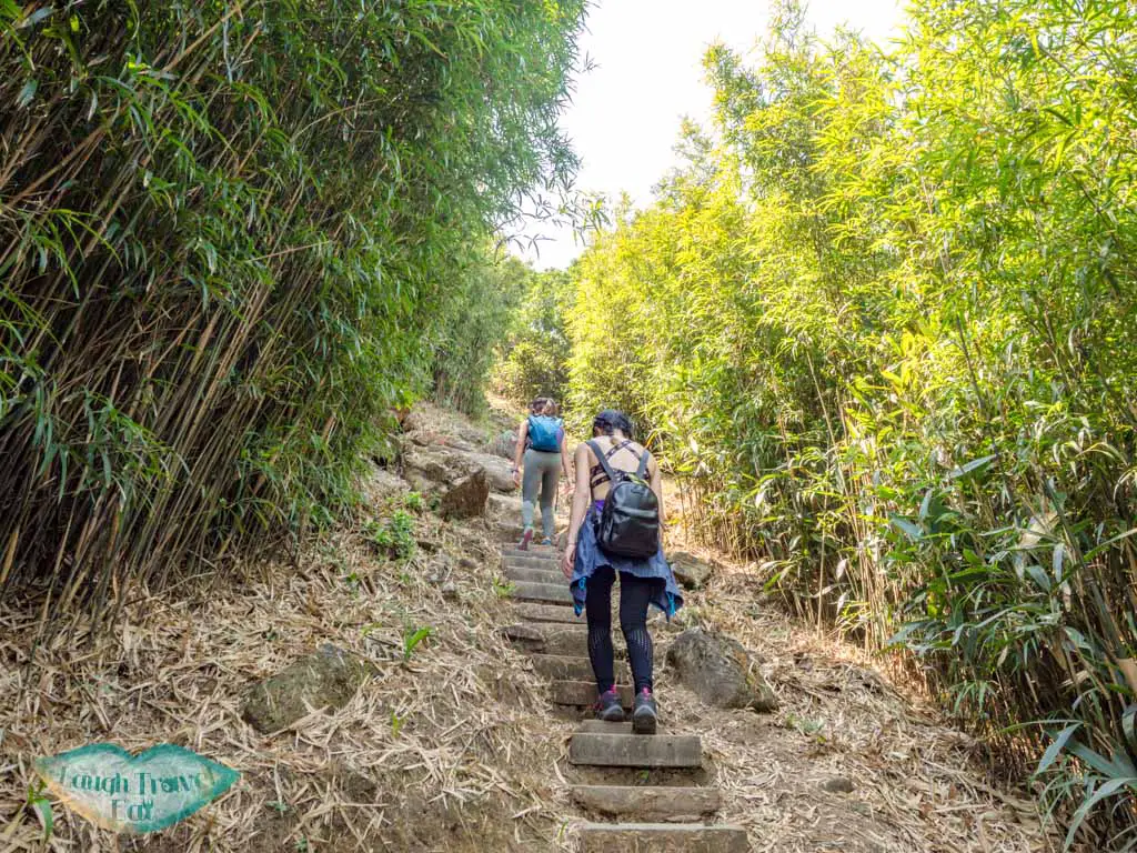 stairs up middle hill hiking trail kowloon hong - laugh travel eat