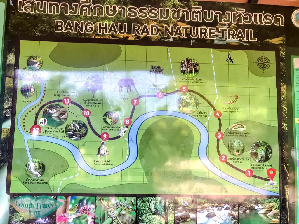 Bang Hau Rad Nature Trail khao sok thailand - laugh travel eat