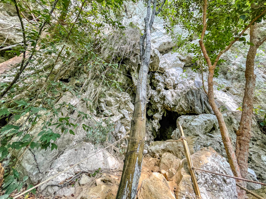 arrive at coral cave afternoon nature hike chiew larn lake khao sok national park Thailand - laugh travel eat-2