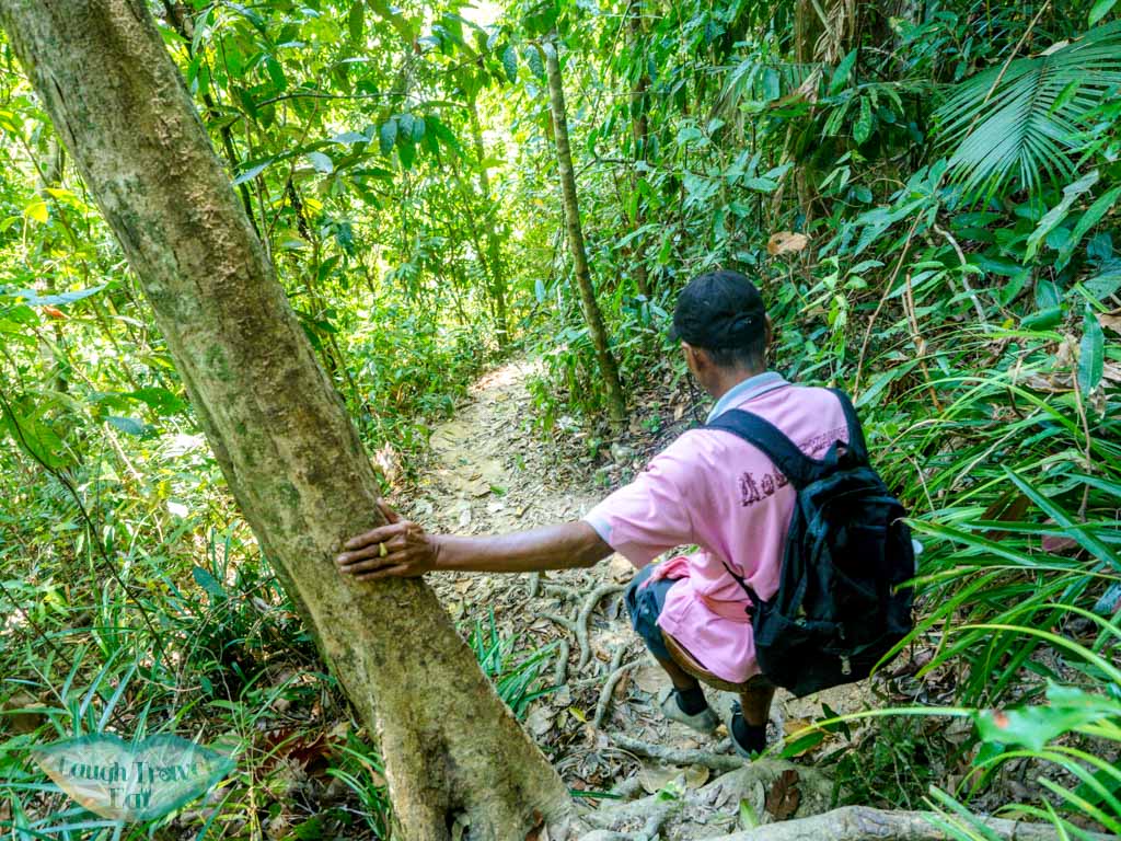 back down rafflesia hike trail khao sok thailand - laugh travel eat