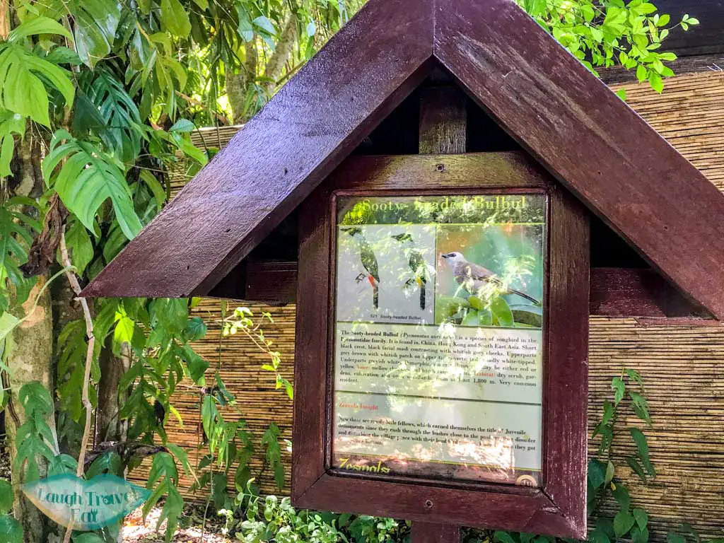 bird sign zeavola koh phi phi thailand - laugh travel eat