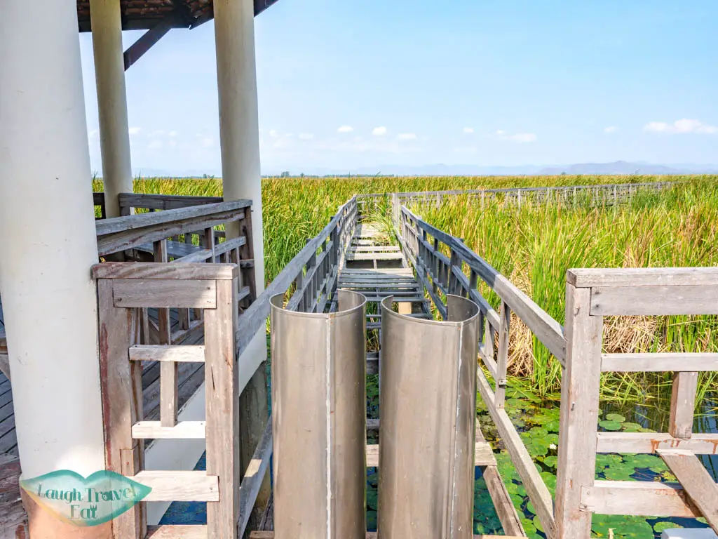 end of Bueng Bua Wood Boardwalk Khao Sam Roi Yot National Park hua hin thailand - laugh travel eat