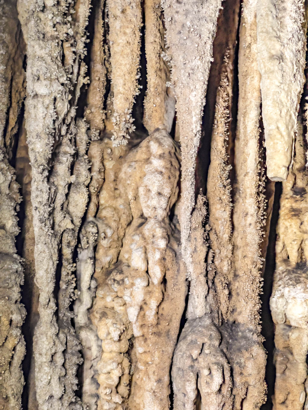 formations in coral cave afternoon nature hike chiew larn lake khao sok national park Thailand - laugh travel eat-3