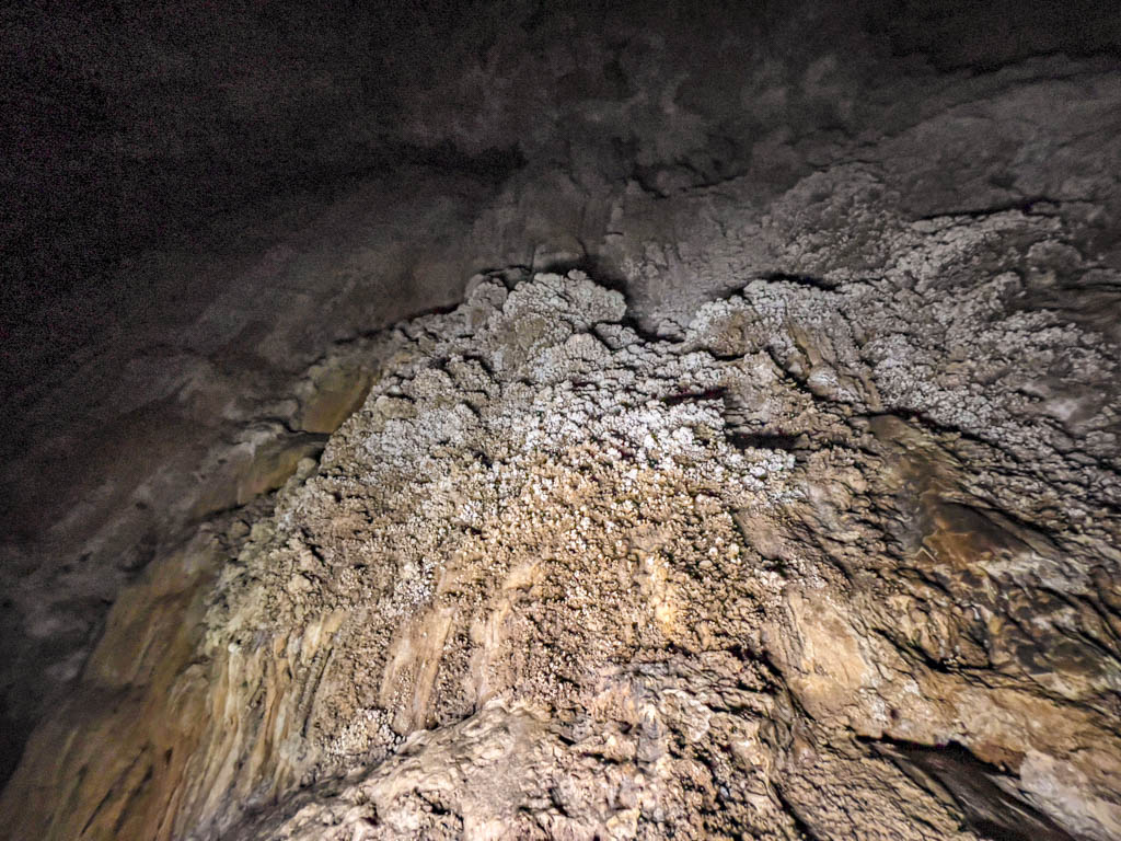 formations in coral cave afternoon nature hike chiew larn lake khao sok national park Thailand - laugh travel eat