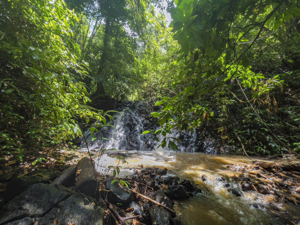 hike to bang phra waterfall km99 hike khao sok national park surat thani thailand - laugh travel eat-5