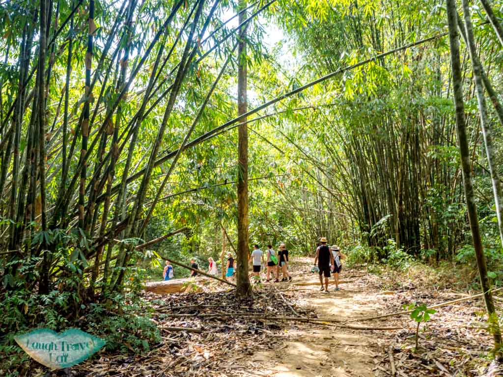 hike to nam talu cave longtail boat cheow lan lake khao sok thailand - laugh travel eat-4