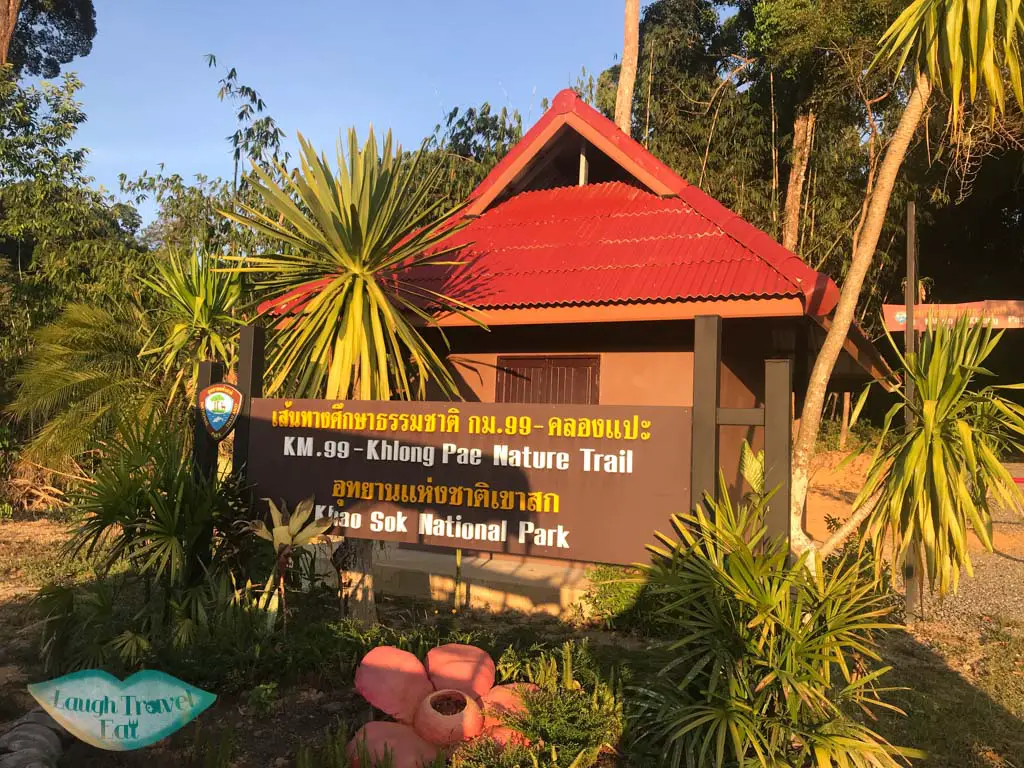 km 99 hiking trail khao sok thailand - laugh travel eat