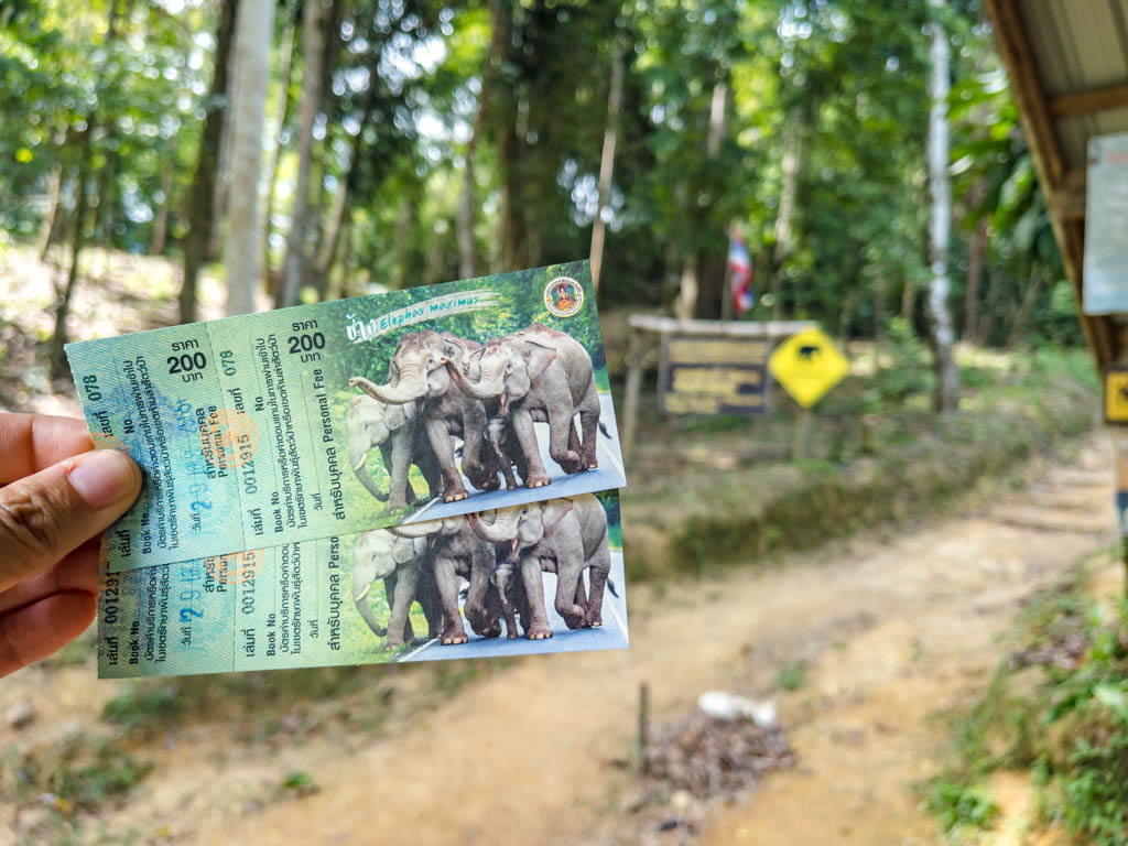 national park tickets coral cave afternoon nature hike chiew larn lake khao sok national park Thailand - laugh travel eat