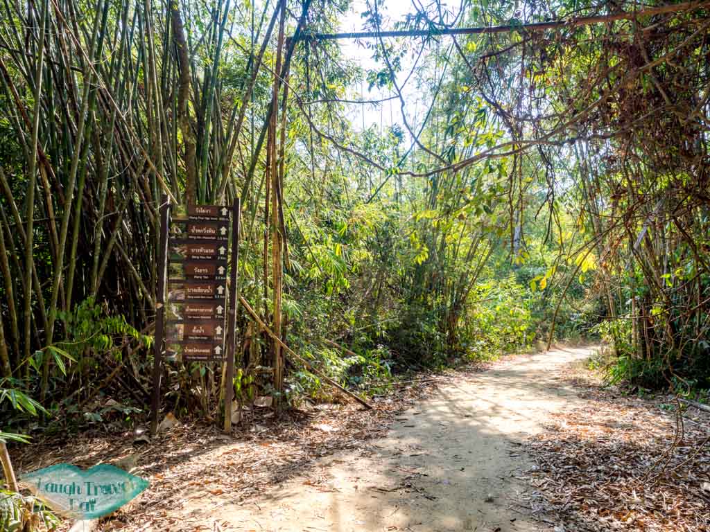 on Bang Hau Rad Nature Trail khao sok thailand - laugh travel eat