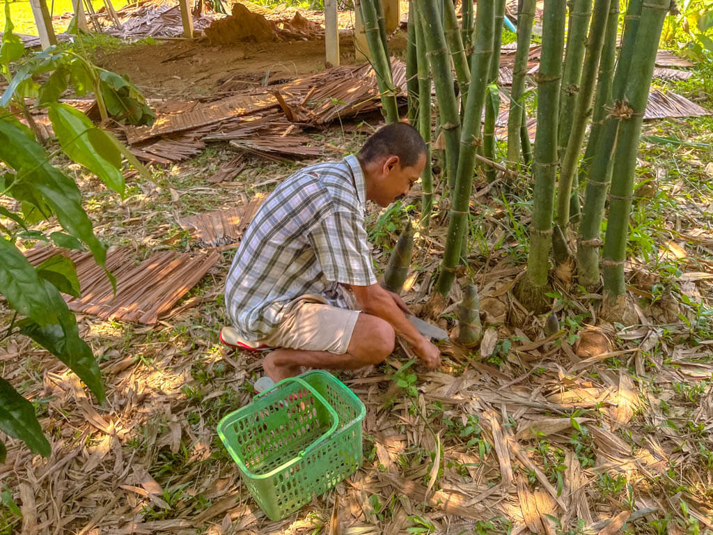 owner yuu showing us around the farm rungfah farm stay khao sok lake khao sok national park Thailand - laugh travel eat-2