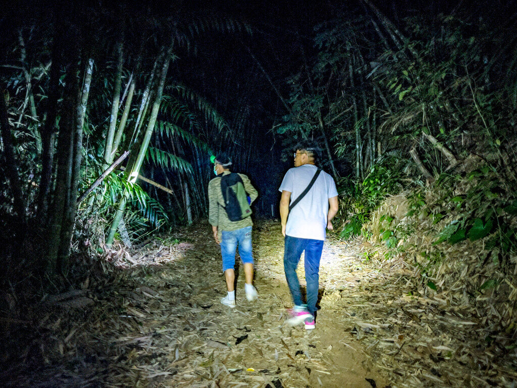 scenes from night safari khao sok national park thailand - laugh travel eat