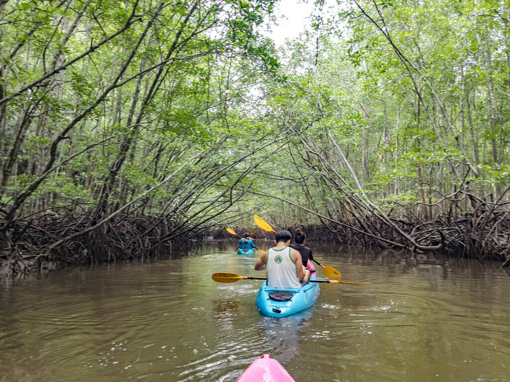 sea mangrove kayaking place ao thalene krabi thailand - laugh travel eat-2