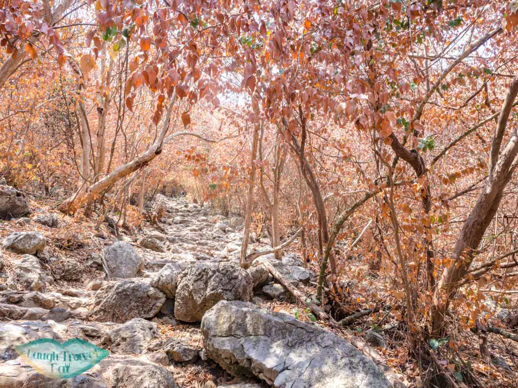 second trail Phraya Nakhon Cave khao sam roi yat national park hua hin thailand - laugh travel eat