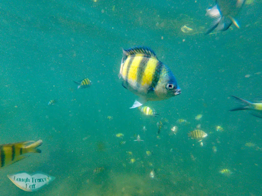 snorkeling 4 island ao nang krabi thailand - laugh travel eat
