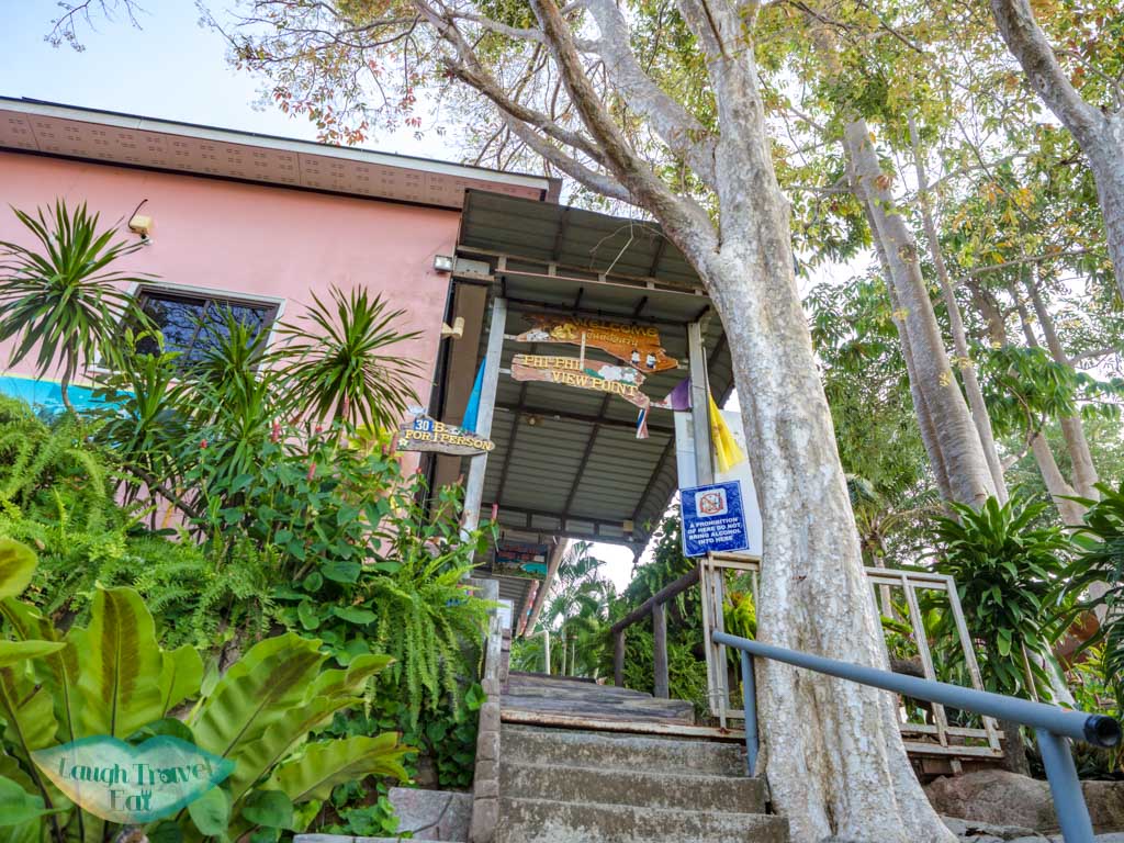 viewpoint koh phi phi thailand - laugh travel eat-4