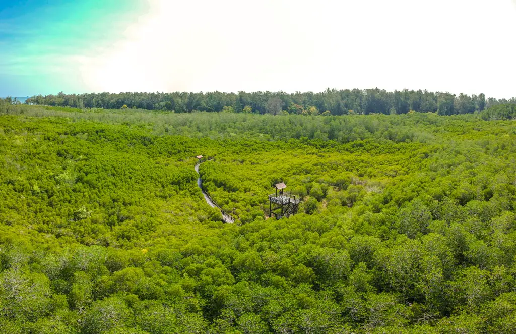 drone shot watch tower pranburi forest park hua hin thailand - laugh travel eat