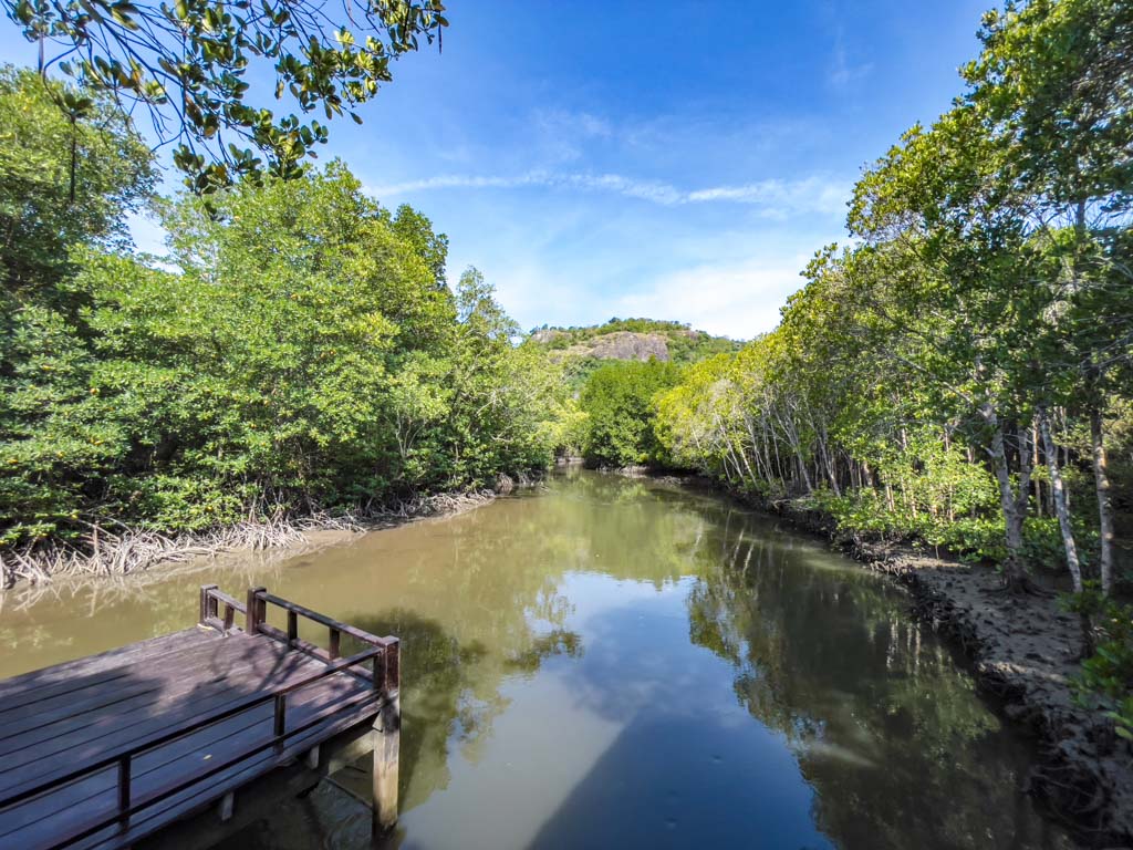 river at pranburi forest park hua hin thailand - laugh travel eat