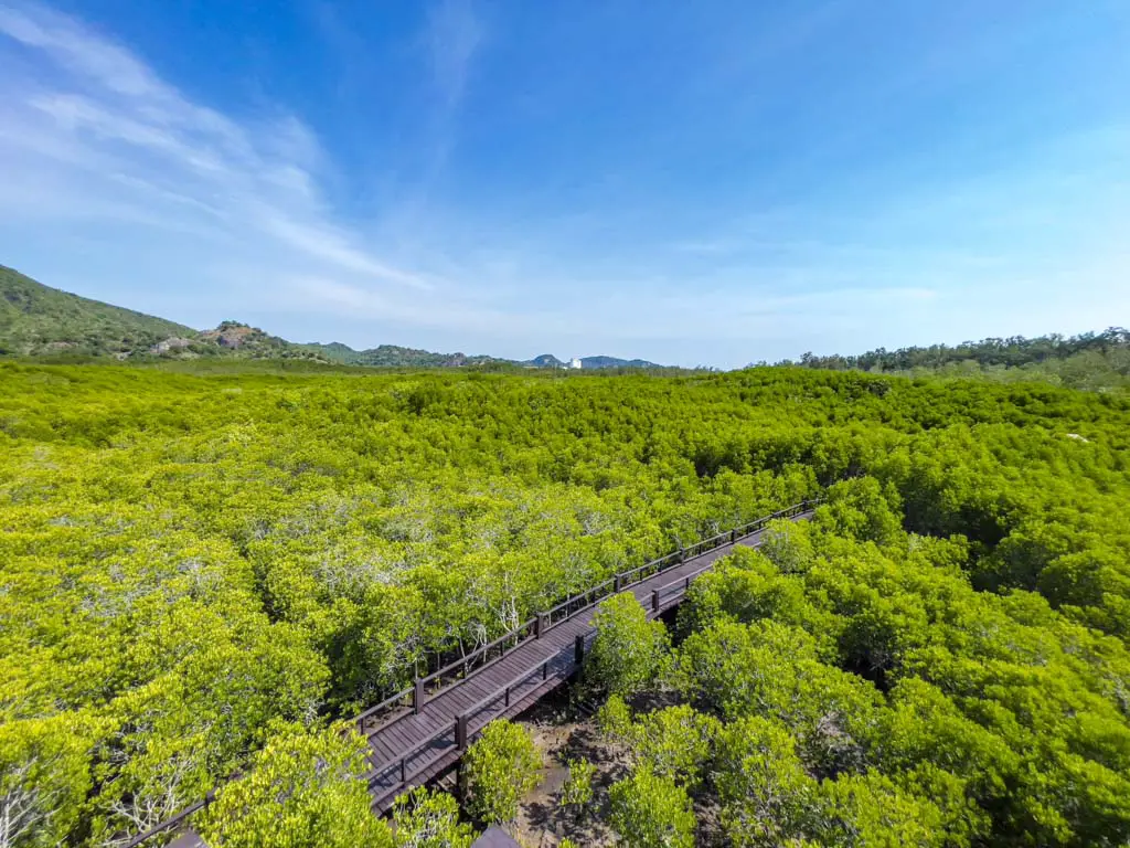 view from watch tower pranburi forest park hua hin thailand - laugh travel eat