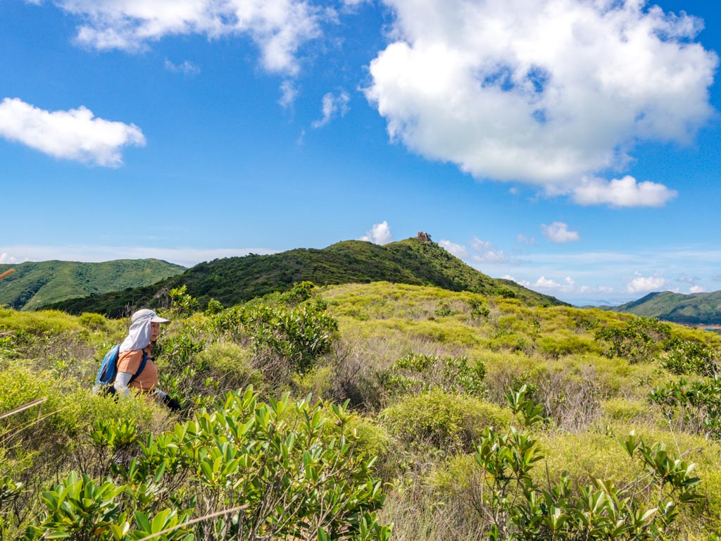 from maclehose stage 2 trail to kam kui shek teng trail sai kung hong kong - laugh travel eat-3