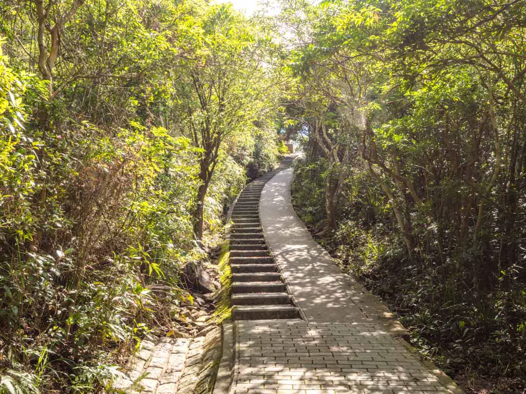 stairs to maclehose stage 2 trail kam kui shek teng trail sai kung hong kong - laugh travel eat
