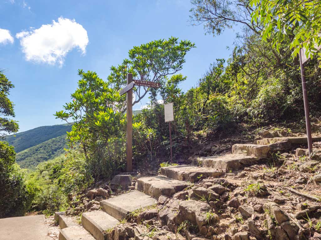 stairs to maclehose stage 2 trail kam kui shek teng trail sai kung hong kong - laugh travel eat
