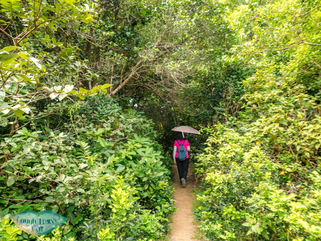 dragon view pavilion to lung keng kan north grass island sai kung hong kong - laugh travel eat-2