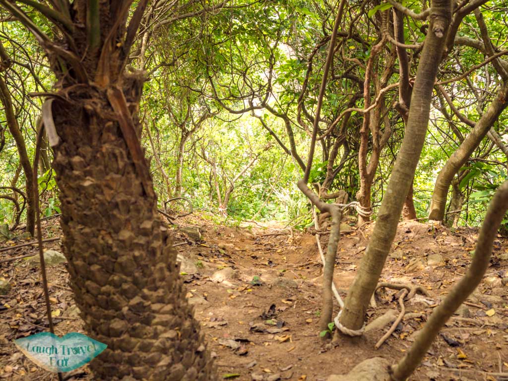 dragon view pavilion to lung keng kan north grass island sai kung hong kong - laugh travel eat-6