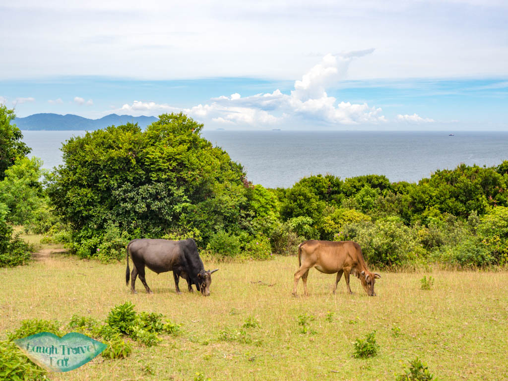 grass island sai kung hong kong - laugh travel eat-4