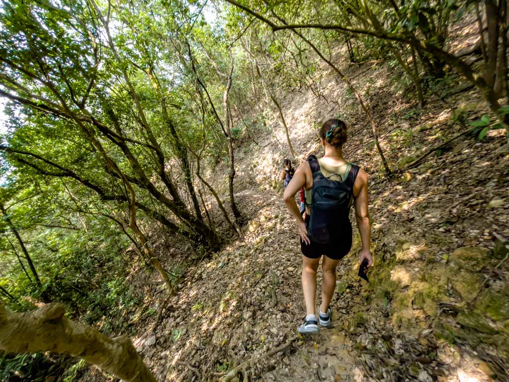 pak sing leng branch to dan chuk hang ping nam stream nam chung country trail fanling hong kong - laugh travel eat