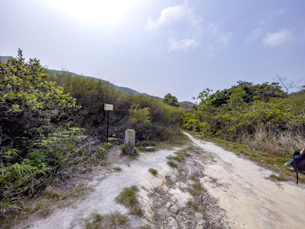 pak sing leng branchping nam stream to highest point nam chung country trail fanling hong kong - laugh travel eat