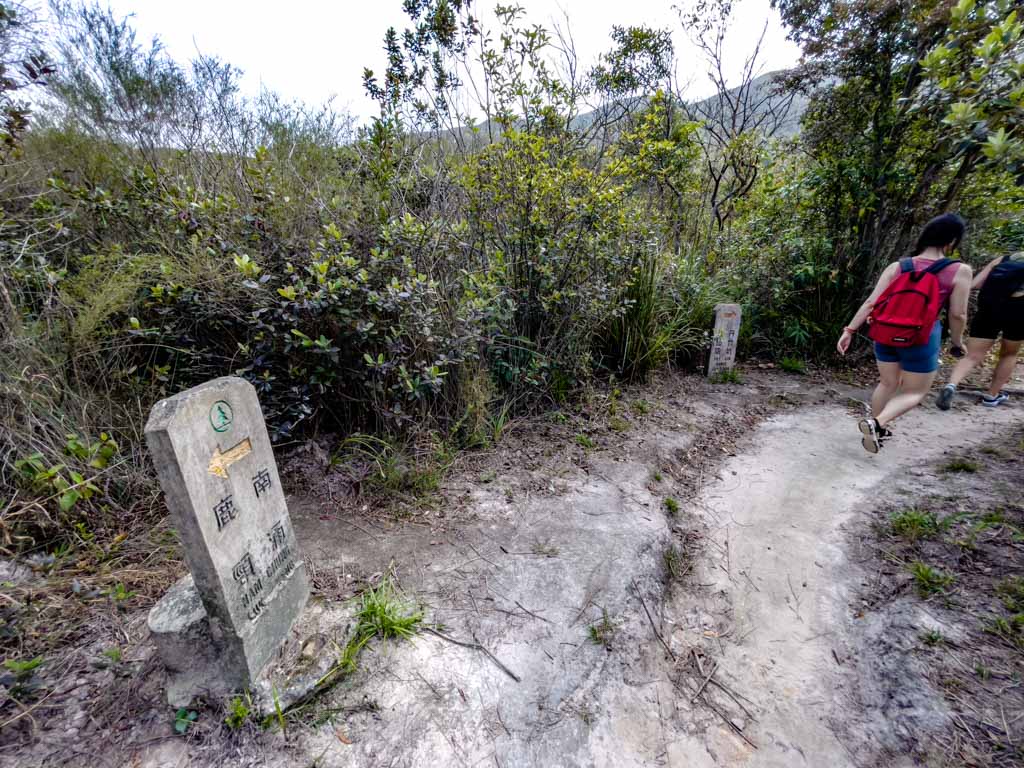 pak sing leng branchping nam stream to highest point nam chung country trail fanling hong kong - laugh travel eat