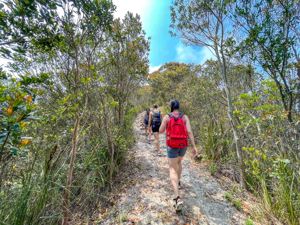 ping nam stream waterfalls to highest point hong kong - laugh travel eat