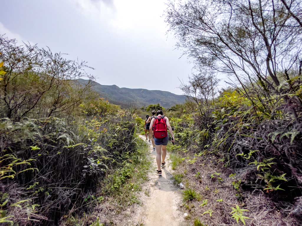 ping nam stream waterfalls to highest point hong kong - laugh travel eat