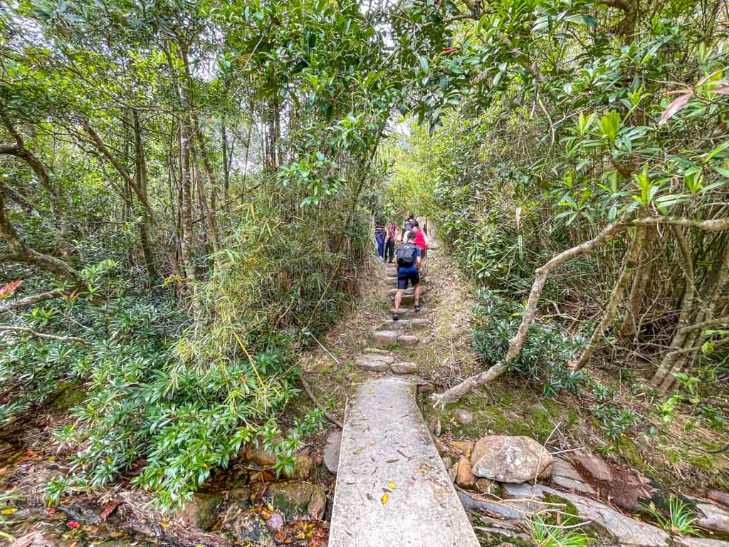 ping nam stream waterfalls to highest point hong kong - laugh travel eat