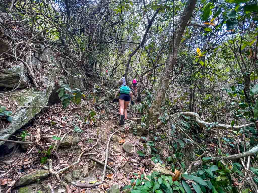 small waterfalls to small pools ping nam stream trek fanling new territories hong kong - Laugh Travel Eat-2