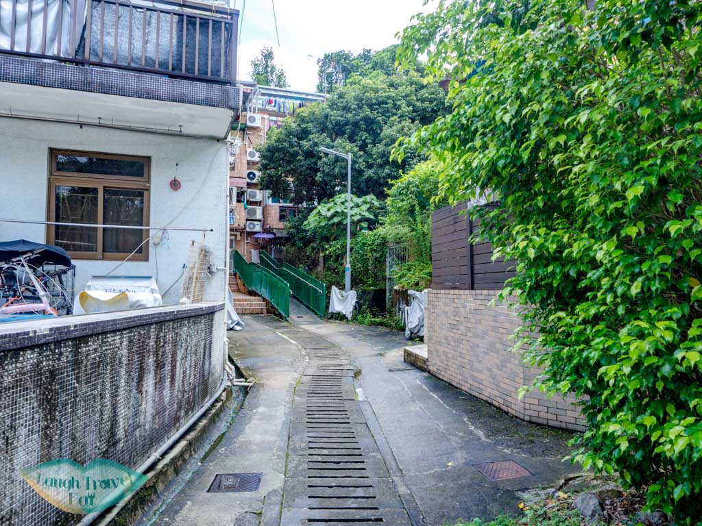 tai shui hang mtr to Madai stream Ma On Shan Hong Kong - laugh travel eat-2
